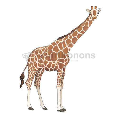 Giraffe T-shirts Iron On Transfers N8094 - Click Image to Close